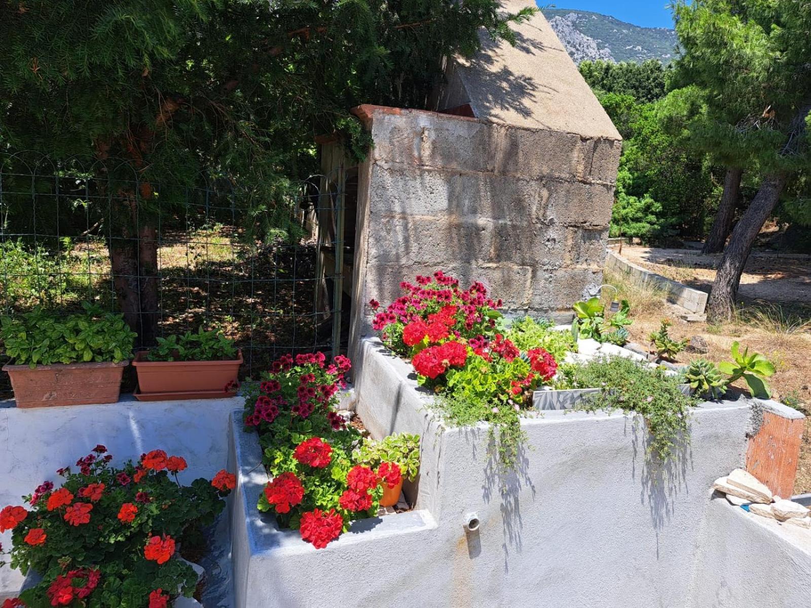 Domus De Mare Apartment Cala Gonone Exterior photo